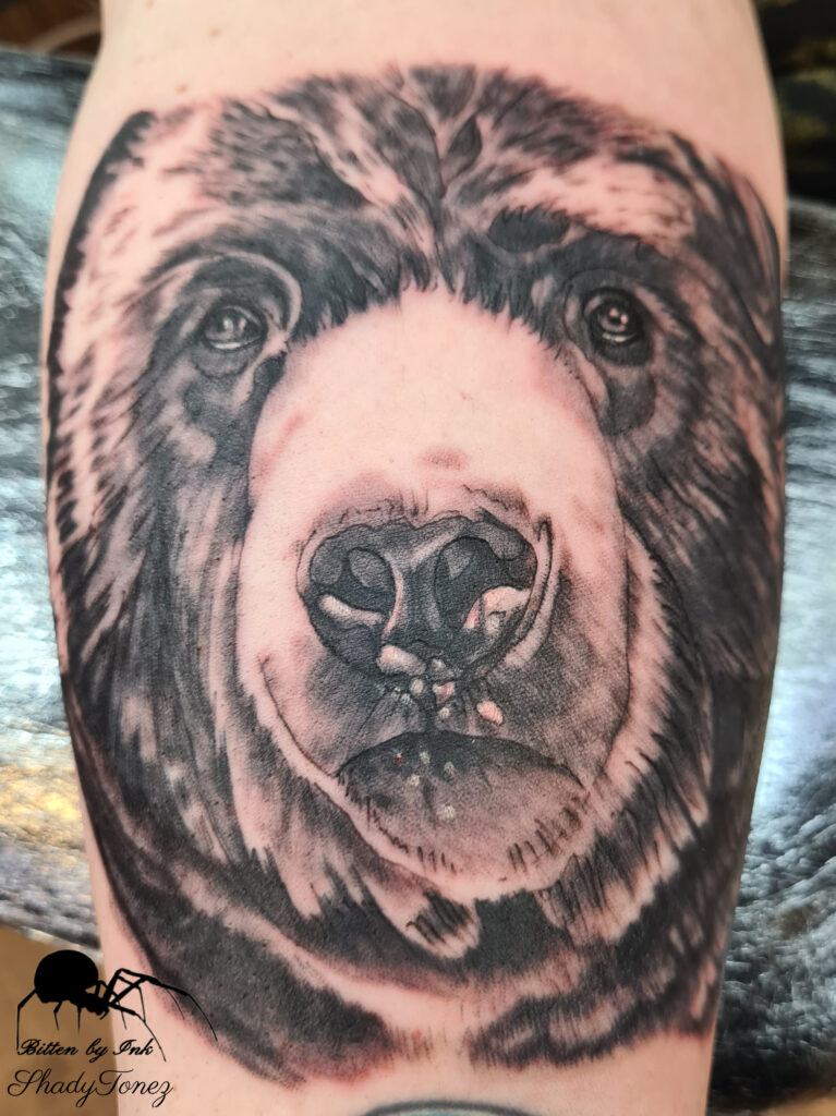realistic bear black&grey